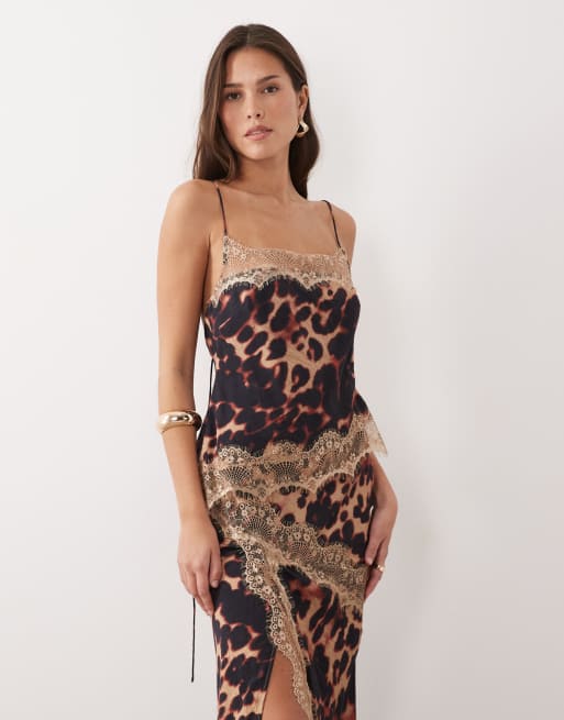 ASOS DESIGN – Midaxi-Kleid mit Overlay, Spitzenbesatz, Rückendetail und Leopardenmuster, 3 von 4