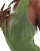 Thumbnail 4 van 4