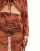 Thumbnail 4 van 5