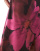 Thumbnail 3 van 5