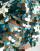 Thumbnail 3 van 4
