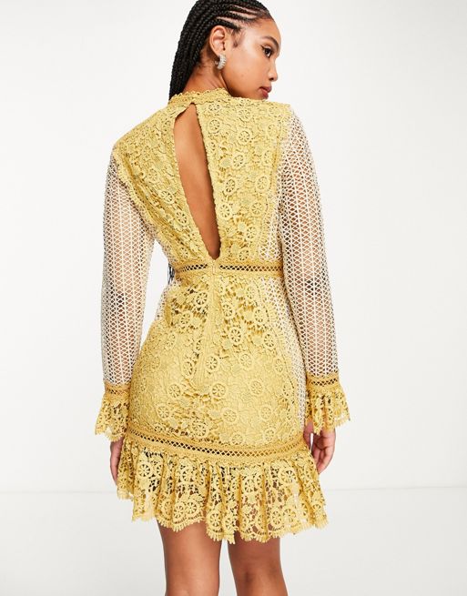 ASOS DESIGN – Musztardowa koronkowa sukienka mini z kontrastowymi detalami  i falbaną na dole | ASOS