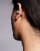 Thumbnail 3 van 3