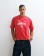 Miniatura 1 z 5