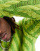 Thumbnail 4 von 4