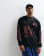 Thumbnail 2 von 5
