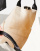 Thumbnail 2 von 4