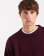 Thumbnail 5 van 5