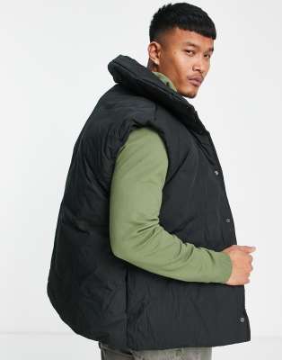 blakely canada goose