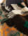 Thumbnail 4 of 4