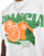 Thumbnail 4 van 4