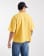 Thumbnail 3 van 5