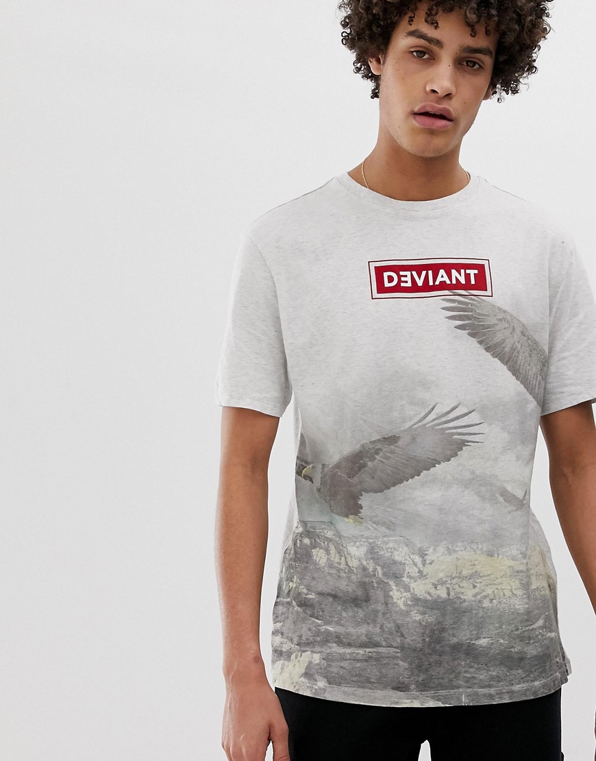 ASOS DESIGN - Oversized t-shirt med deviant fågel-tryck-Grå