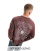 Thumbnail 1 van 4