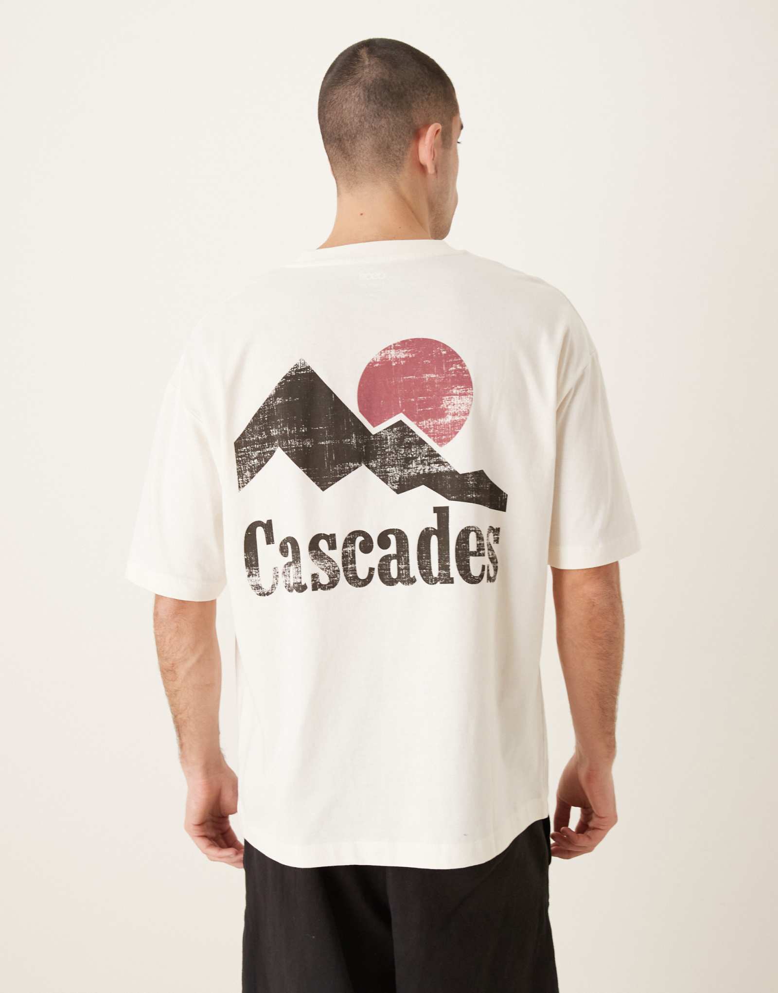 ДИЗАЙНЕРСКАЯ футболка оверсайз от ASOS с изображением каскадов белоснежного цвета