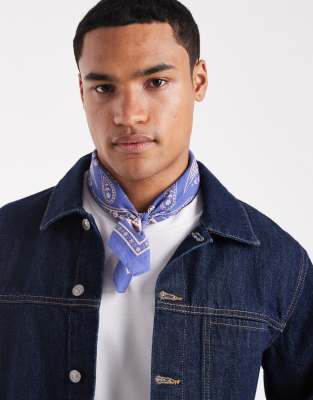 paisley bandana in blue