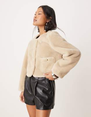 ASOS DESIGN Petite collarless bonded borg jacket in cream-White