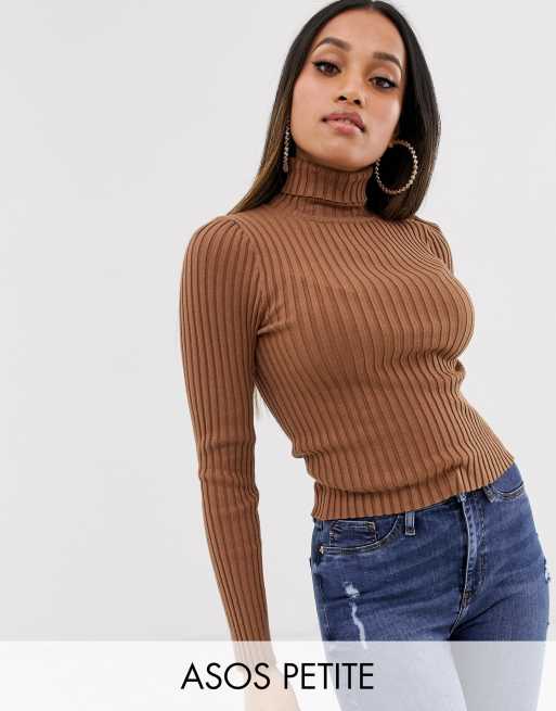 ASOS DESIGN Petite - Fijn gebreide geribbelde coltrui