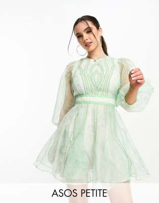 ASOS DESIGN Petite - Mini-Skater-Kleid aus besticktem Organza mit Spitzeneinsatz und grünem Muster-Bunt