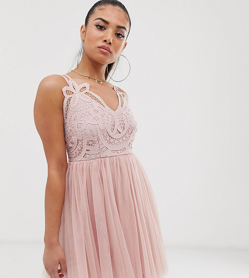 ASOS DESIGN Petite Premium lace top tulle cami mini dress-Pink