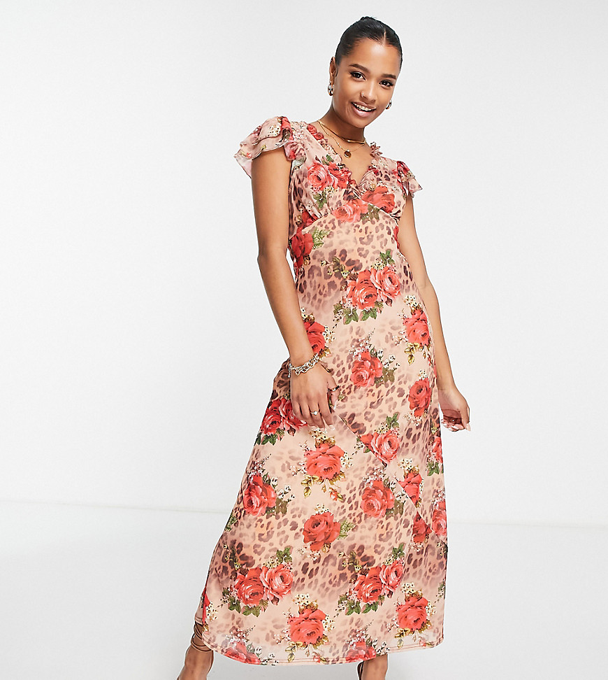 Asos Petite Asos Design Petite Short Sleeve Frill Detail Maxi Dress In Leopard Rose Print-multi