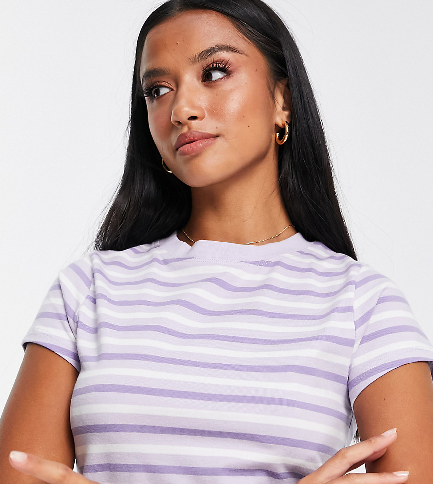 ASOS DESIGN Petite shrunken T-shirt in lilac stripe-Purple