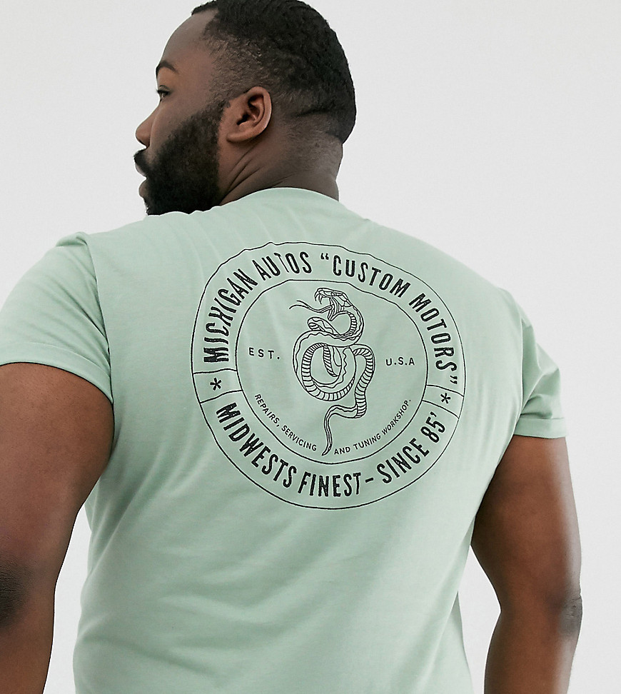 ASOS DESIGN Plus - T-shirt con maniche con risvolto e stampa con serpenti sul retro-Verde