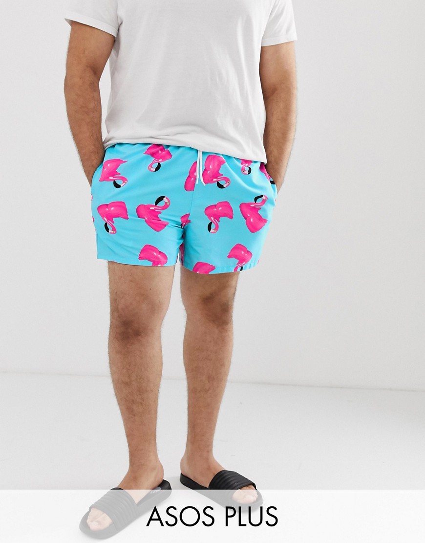 ASOS DESIGN – Plusstorlek – Flamingomönstrade badshorts i kort längd-Blå