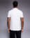 Anteprima 3 di 5