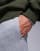 Thumbnail 4 of 5