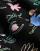 Thumbnail 4 of 5