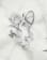Thumbnail 4 of 5