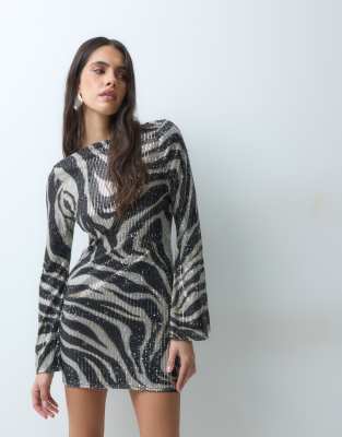 Zebra 4