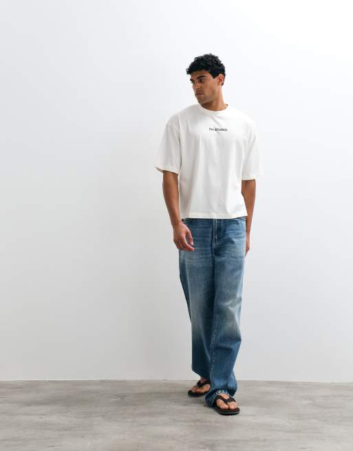 ASOS DESIGN - Recht oversized T-shirt met grafische vogelprint in crème, 2 van 5