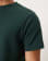 Thumbnail 5 van 5