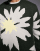 Thumbnail 5 von 5