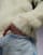 Thumbnail 4 of 5