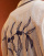 Thumbnail 5 of 5