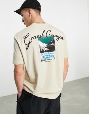 ASOS DESIGN relaxed t-shirt in beige with city scenic back print