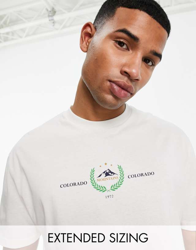 ASOS DESIGN - relaxed t-shirt in beige with rocky mountains chest print