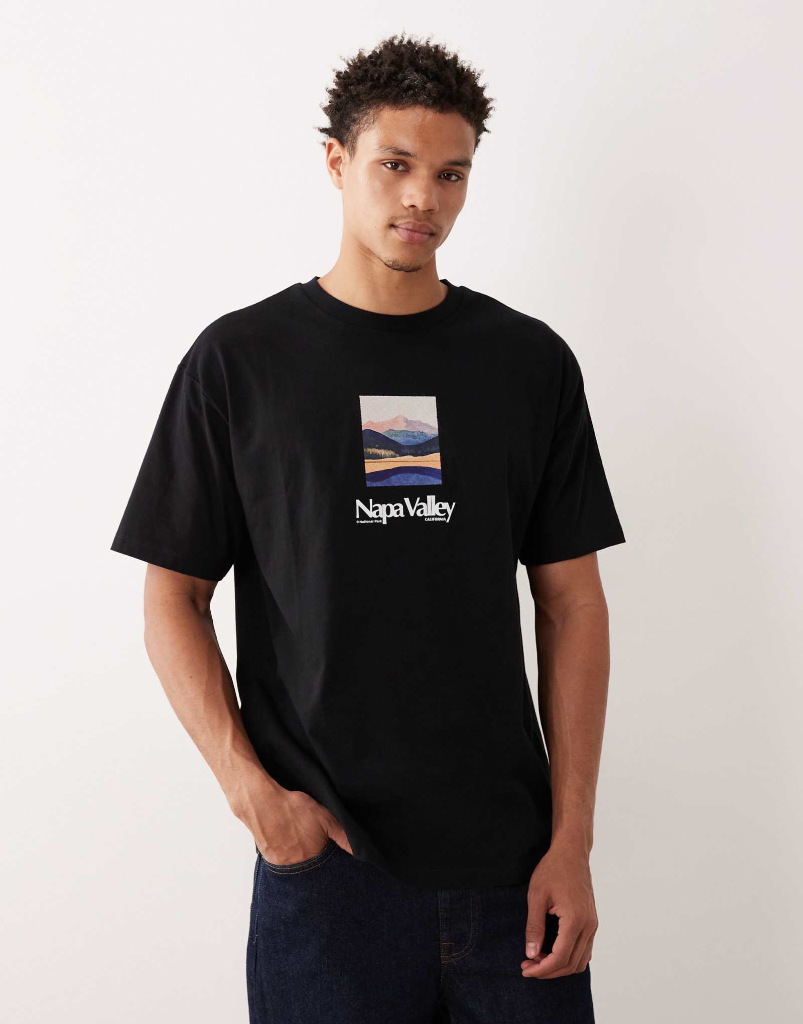 Непринужденная футболка ASOS DESIGN с вышитым рисунком долины Напа черного цвета