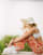 Thumbnail 2 van 4