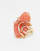 Thumbnail 2 van 3