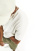 Thumbnail 3 van 5
