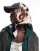 Thumbnail 1 van 5