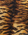 Thumbnail 3 van 5