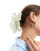 Thumbnail 2 von 4