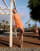 Thumbnail 1 of 4