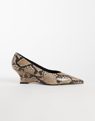 Snake Print 4