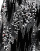 Thumbnail 5 of 5